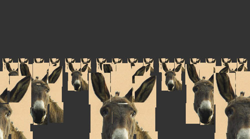 clones &agrave; tics - animation flash