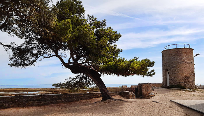 Stage de chant et Feldenkrais au Vieil  Noirmoutier