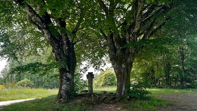 Bretagne