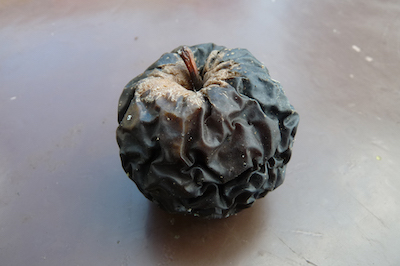 La pomme d'Eris