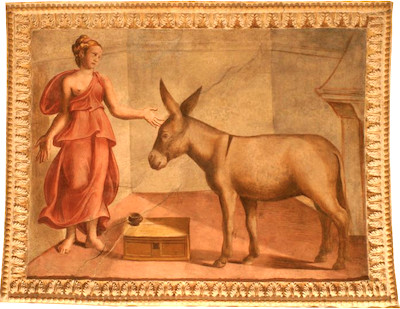 la femme-et l'âne