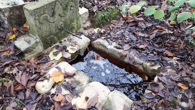 Le jardin aux Crouteaux - Fontaine
