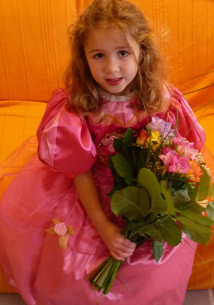 Alice - 2014