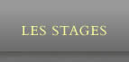 les stages chant feldenkrais