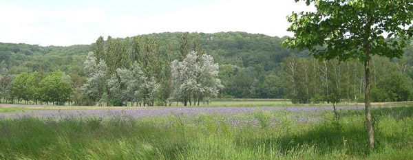 Jouy-en-josas